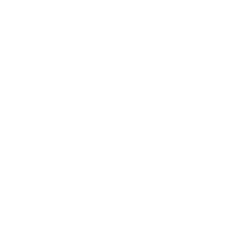 FastlockPROMISEICONS-1-01